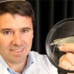 Israeli scientist could adapt shrimp antiviral for humans
