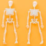 Bad to the bone: Hebrew University reveals impact of junk food on kids’ skeletal development