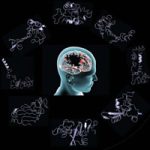 Hebrew U, Penn State Researchers Unveil Clues on Origins of Parkinson’s Disease