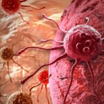 Israeli university develops molecular treatment for hematologic cancers