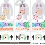 Gut Microbes May Drive Weight Gain after Smoking Cessation