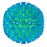  Study: Epstein-Barr virus can cause multiple sclerosis