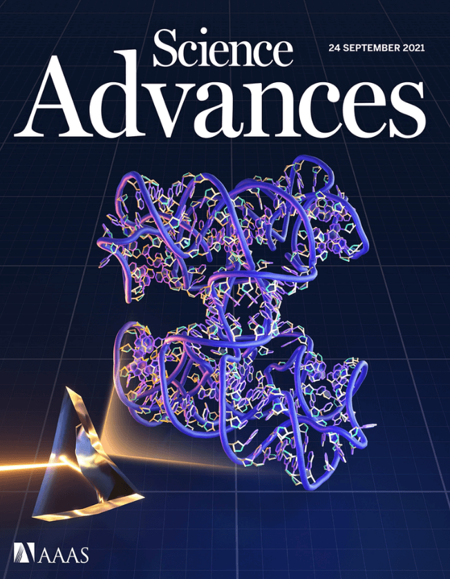 Yossi_Weizmann_Science_Advances_Cover